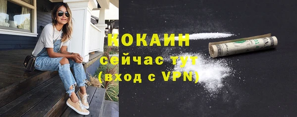 крисы Богородск