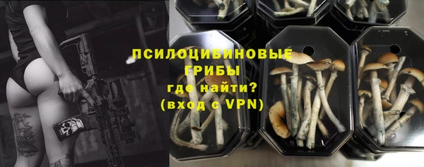 ПСИЛОЦИБИНОВЫЕ ГРИБЫ Богданович