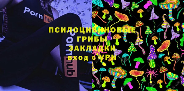 мдпв Богородицк