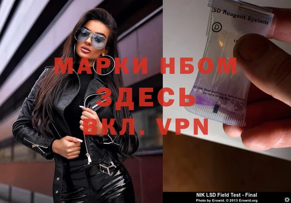 мдпв Богородицк