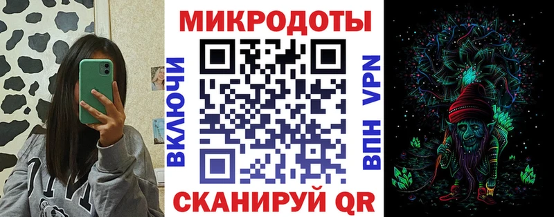 Псилоцибиновые грибы Psilocybe  где купить   Будённовск 