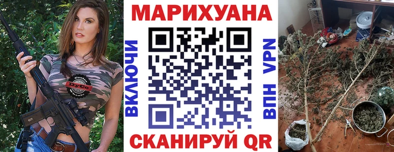 Бошки марихуана сатива Будённовск